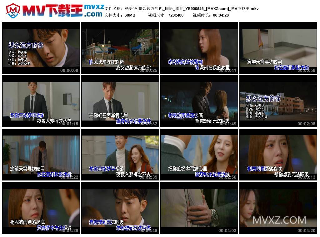 杨美华-想念远方的你_国语_流行_YE900526